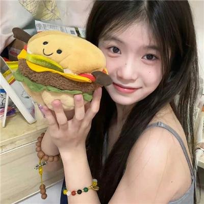 网中的太阳