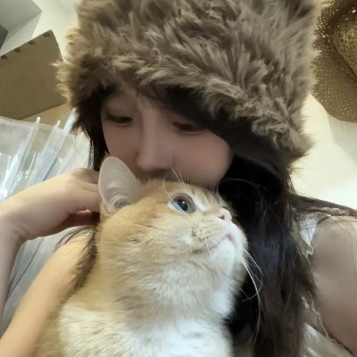 蜘蛛与郁金香